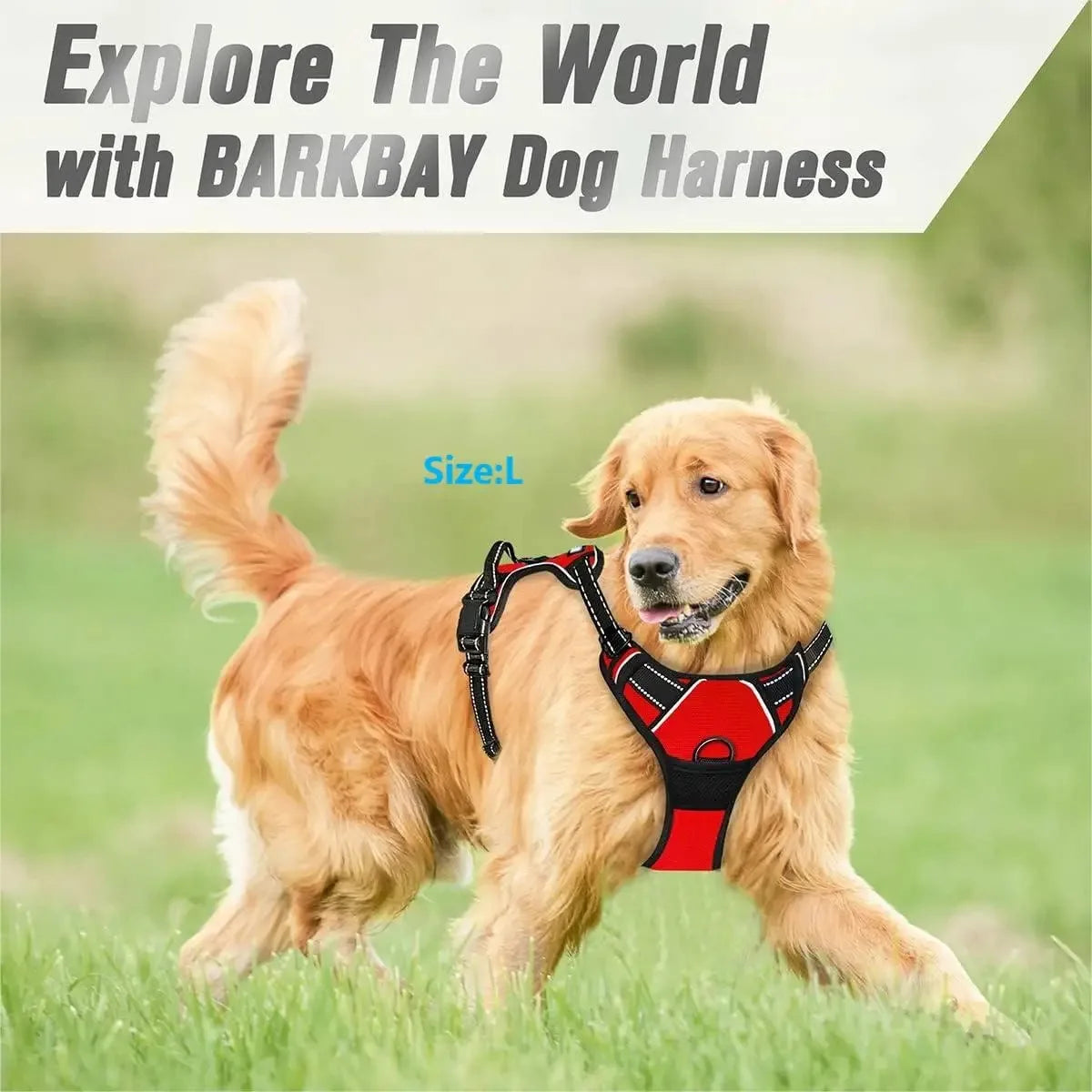 Collares para perros Arneses Chalecos grandes Correa Tienda de mascotas Todo para perros Accesorios de cuero para cachorros Mediano Pequeño Conjunto