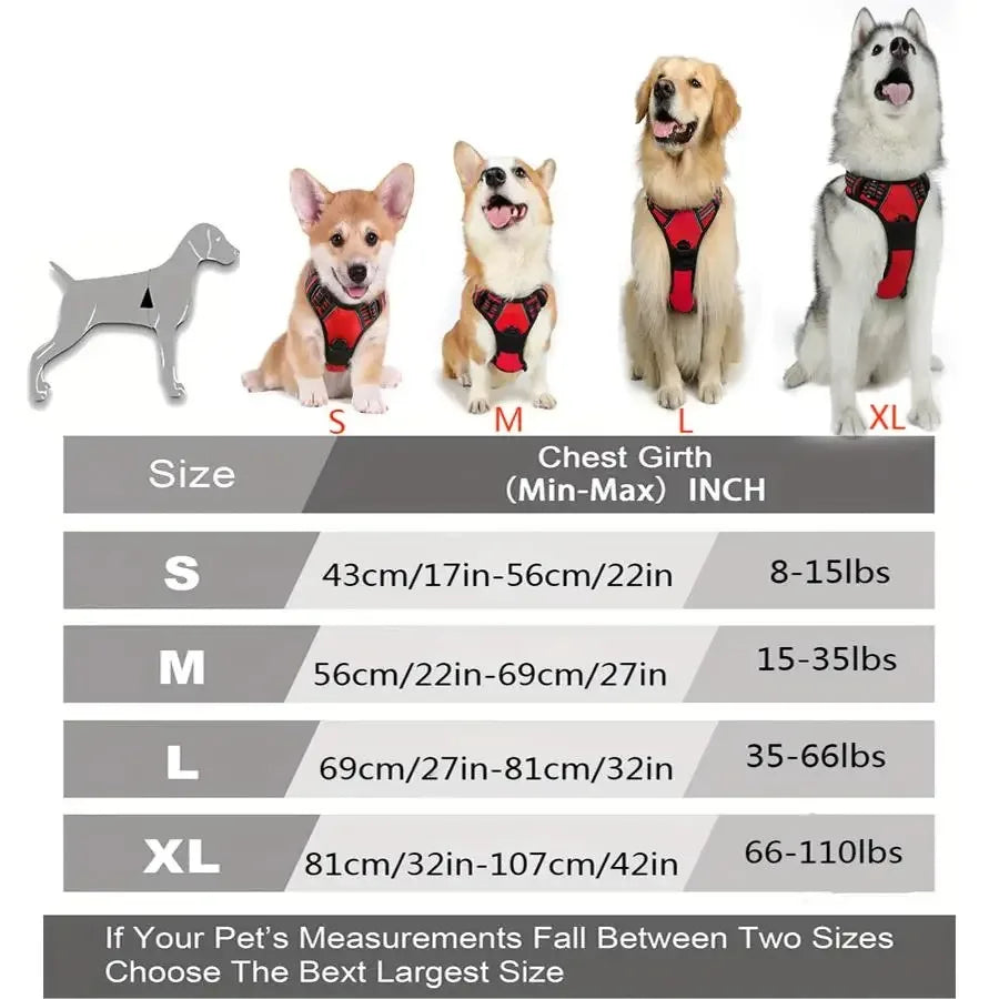 Collares para perros Arneses Chalecos grandes Correa Tienda de mascotas Todo para perros Accesorios de cuero para cachorros Mediano Pequeño Conjunto