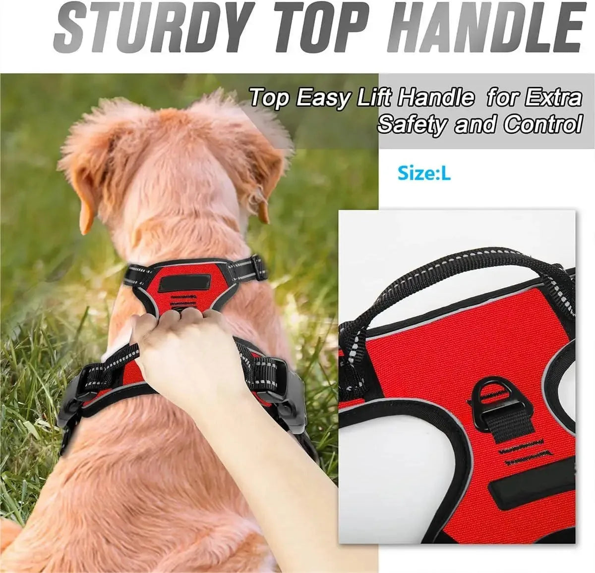 Collares para perros Arneses Chalecos grandes Correa Tienda de mascotas Todo para perros Accesorios de cuero para cachorros Mediano Pequeño Conjunto