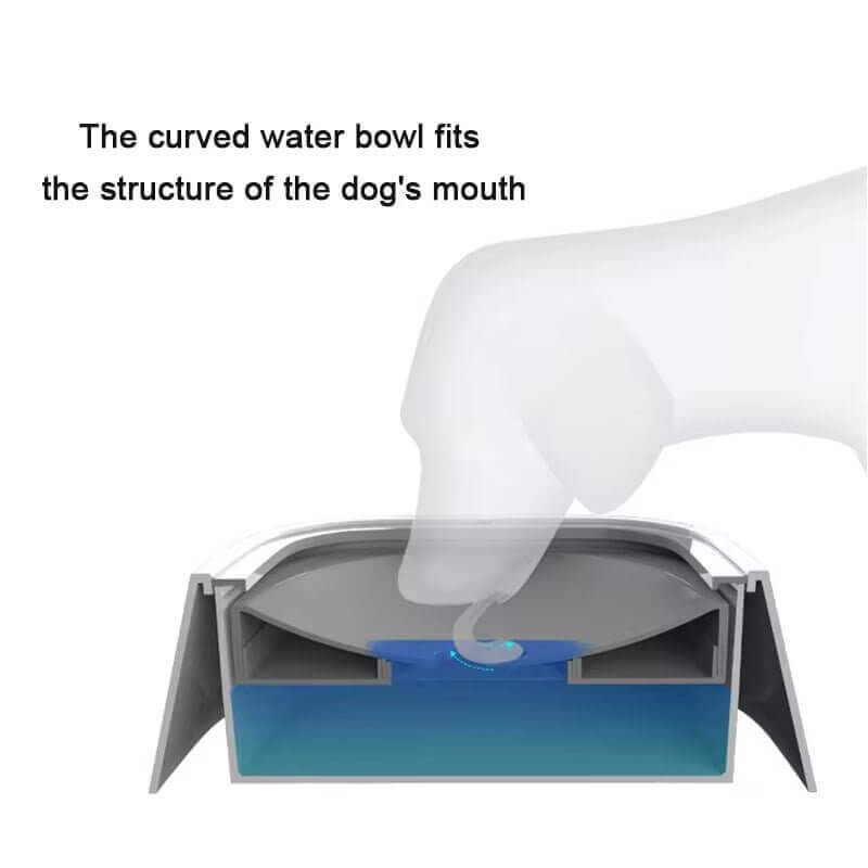 Cuenco de agua potable para perros Tazón flotante - Huellitas shop